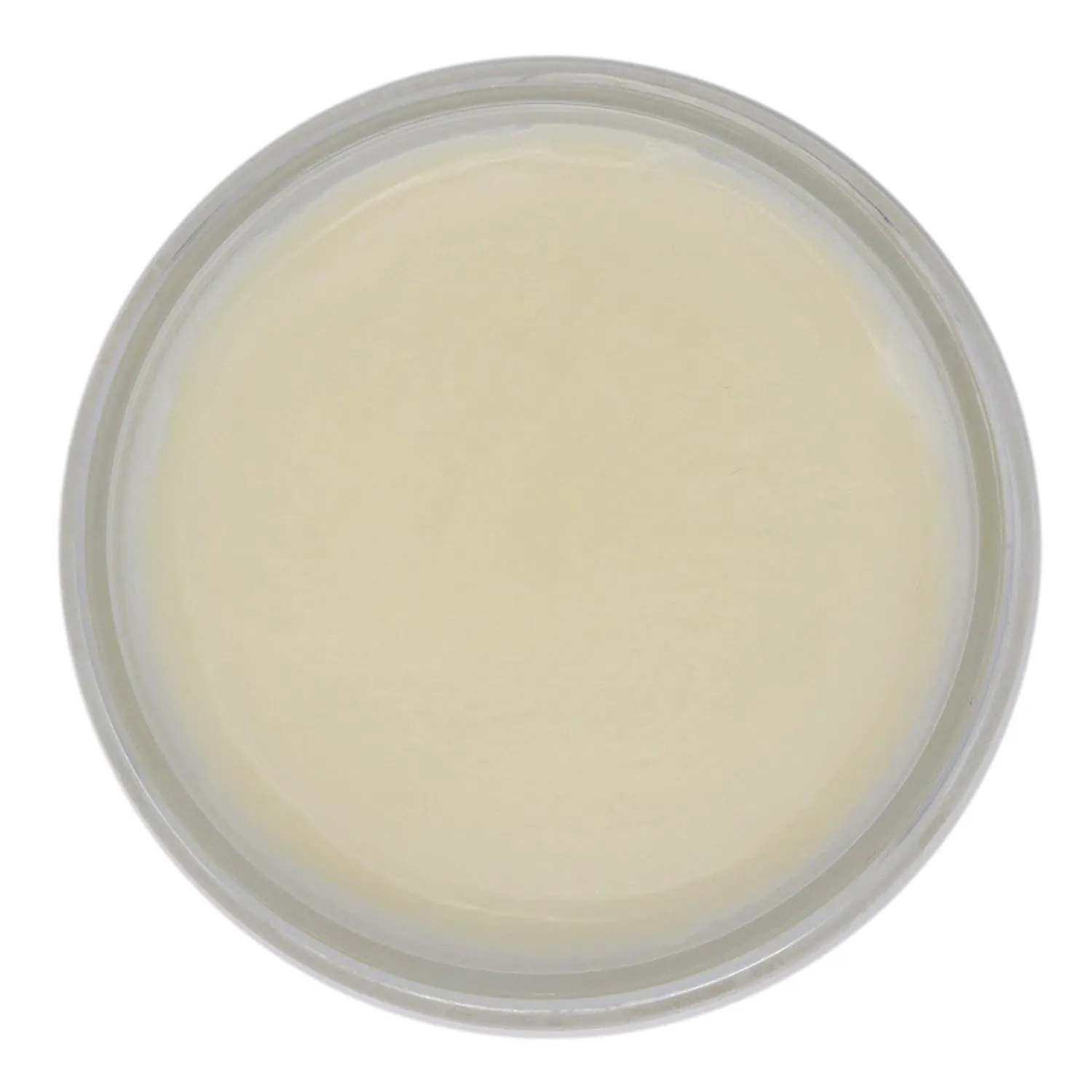 Body Butter - Beach Baby Scent - Hand Crafted 4 fl oz / 120 ml Natural Artisan Skin Care, Shea Butter, Aloe Vera, Nourish, Moisturize, & Protect. Made in the USA.
