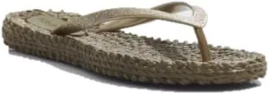 ILSE JACOBSEN Women's Cheerful01 Flip-Flop