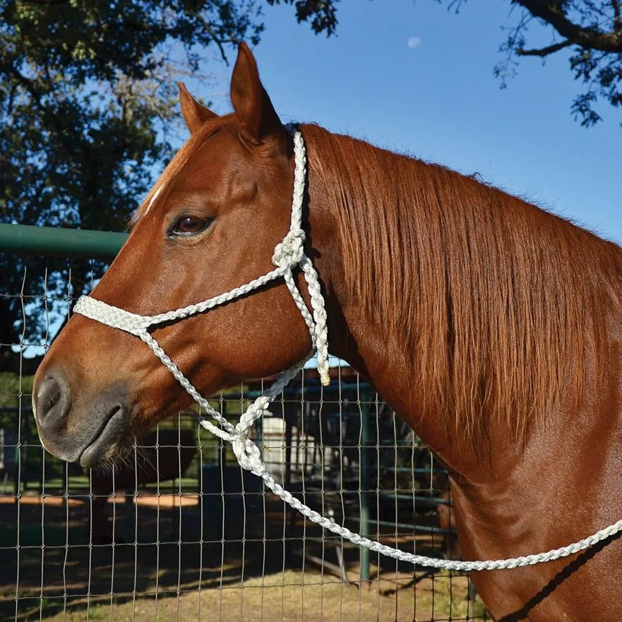 Martin Mule Tape Halter