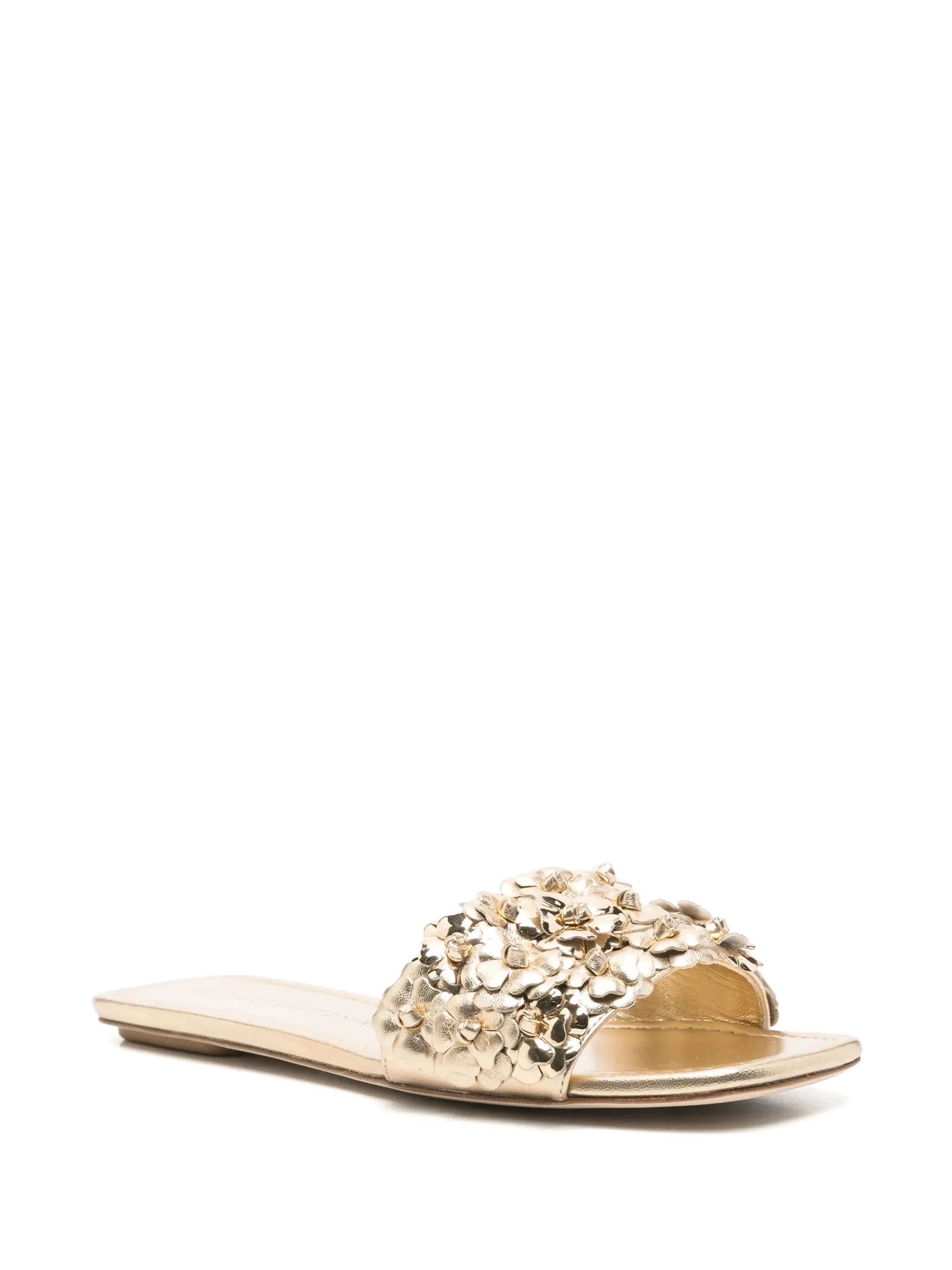 Meadow slides, golden-platino