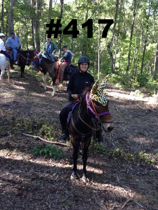 Mule - Fun Prints