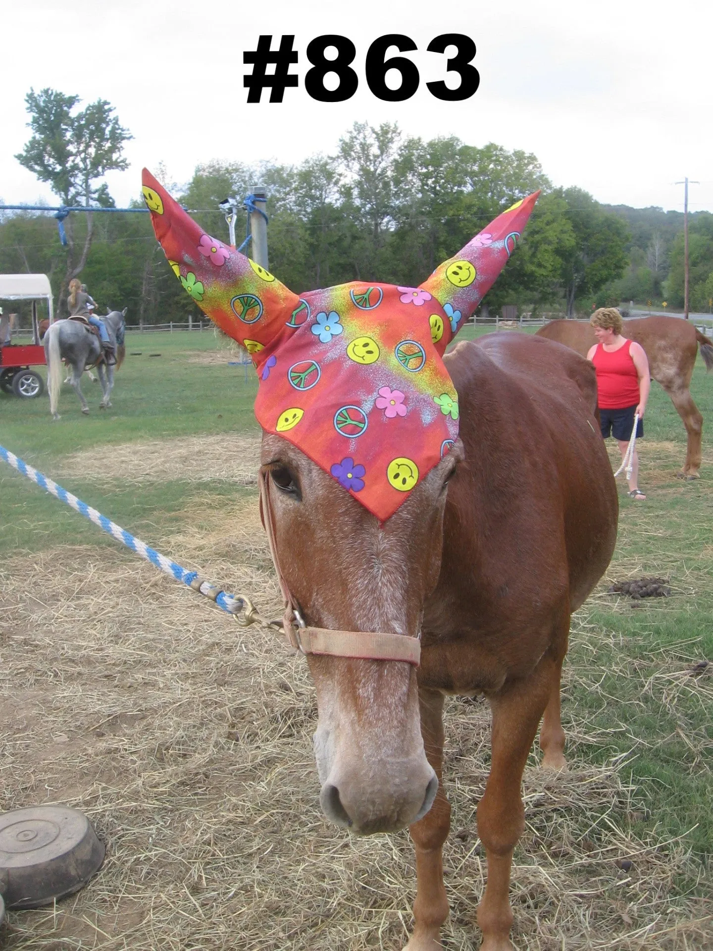 Mule - Fun Prints