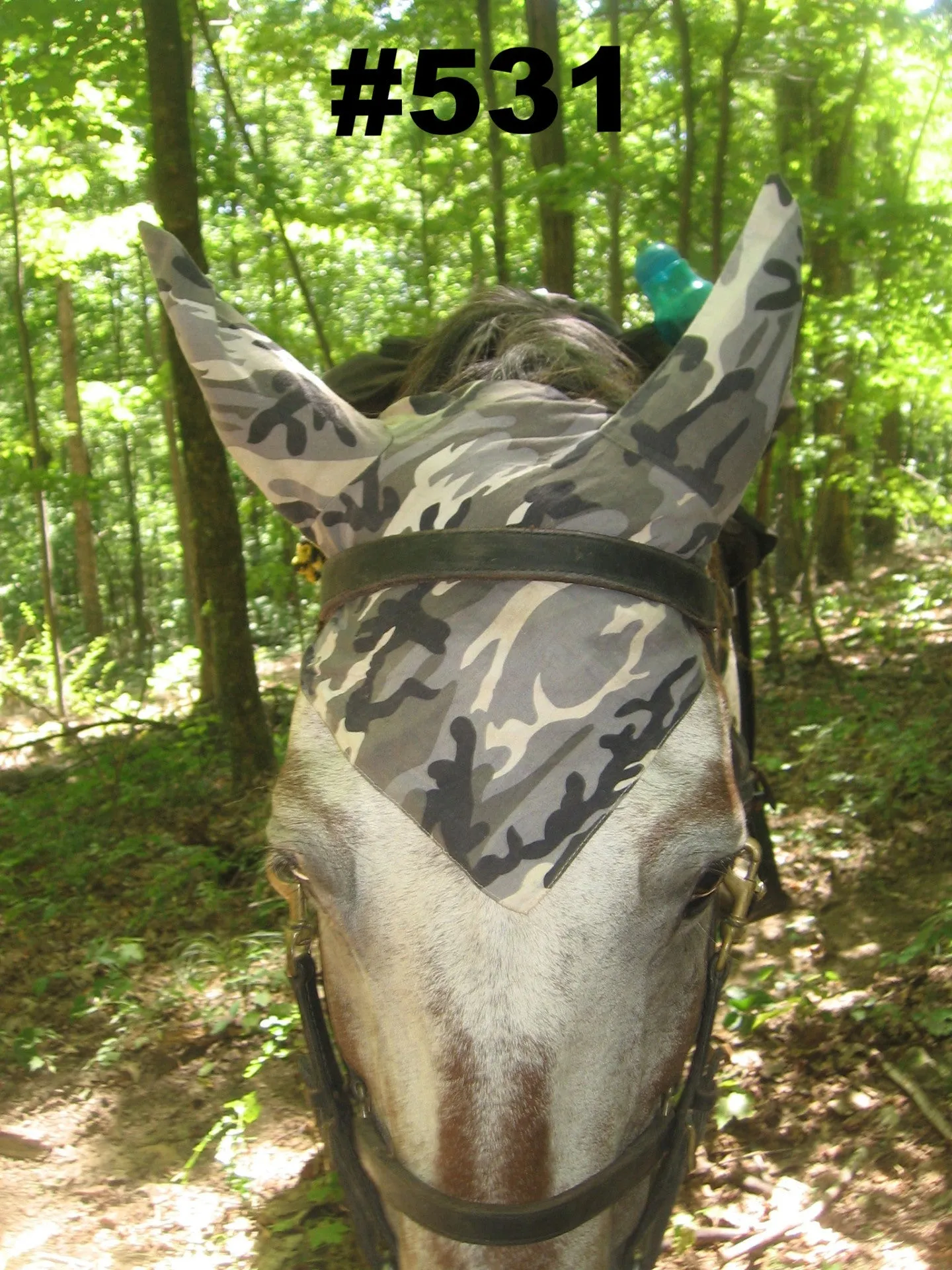 Mule - Fun Prints
