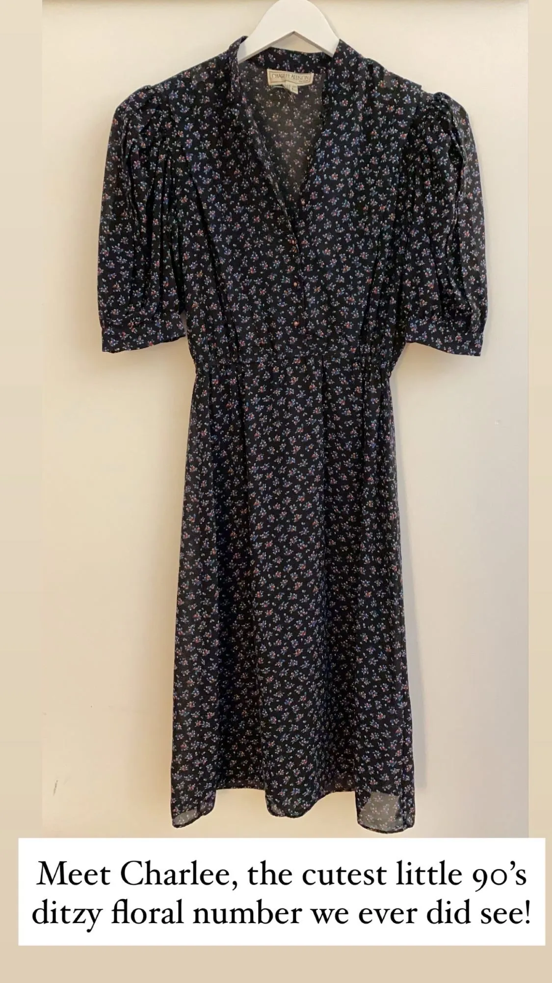 The Charlee Dress, 1990’s